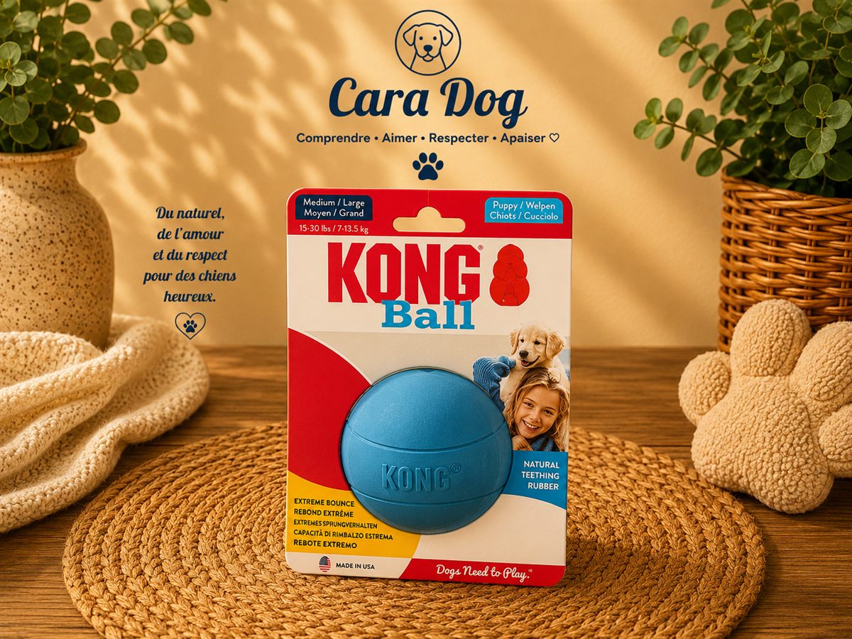 KONG Ball — M/L