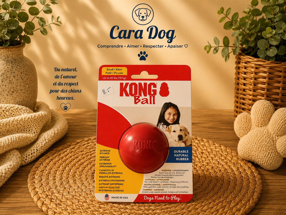 KONG Ball — S