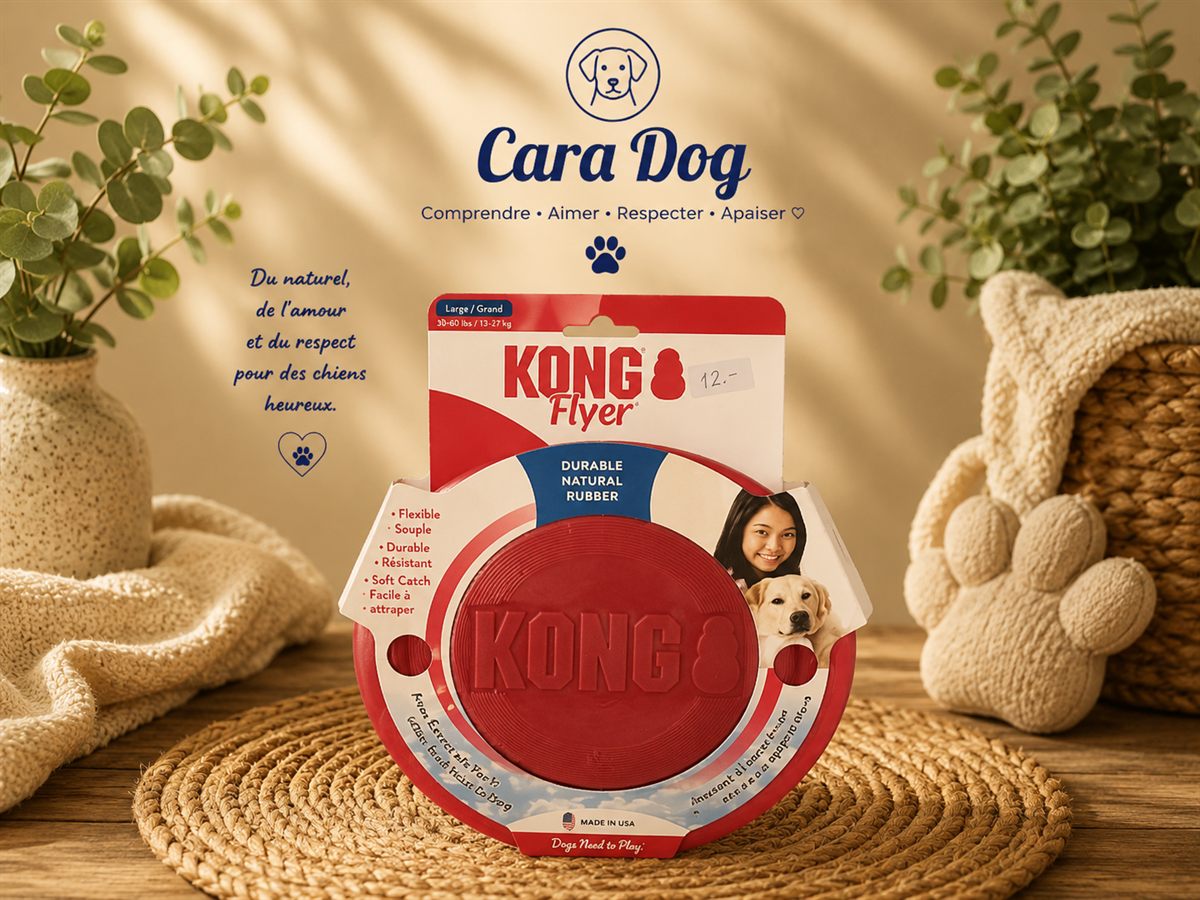 KONG Flyer — L