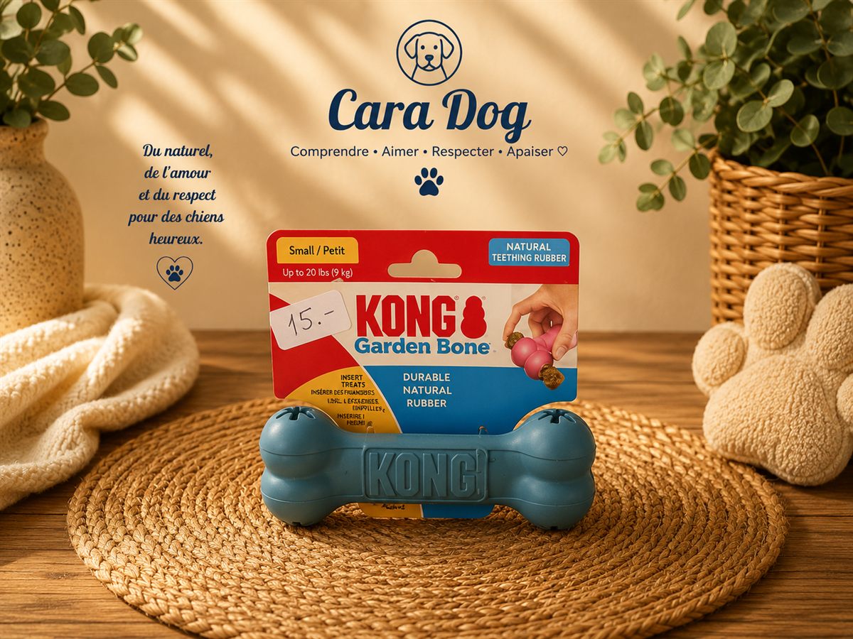 KONG Garden Bone