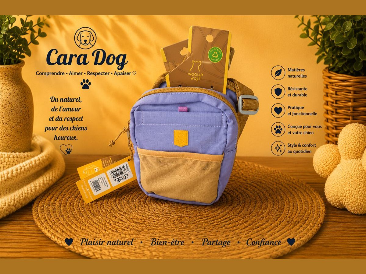 Sac de promenade