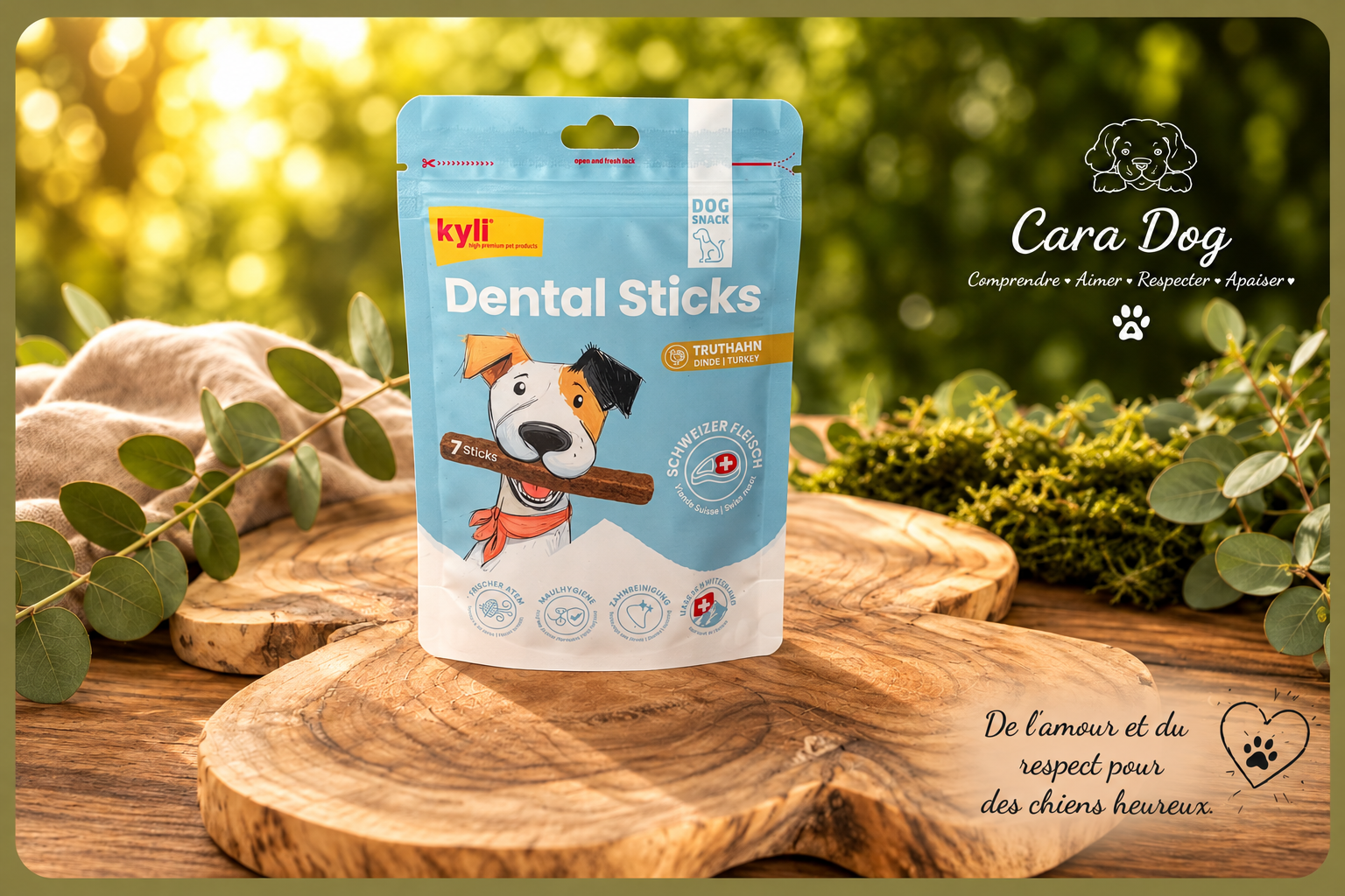Dental Stick